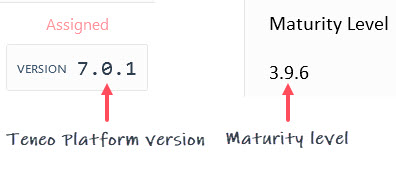 Teneo version and Maturity Level